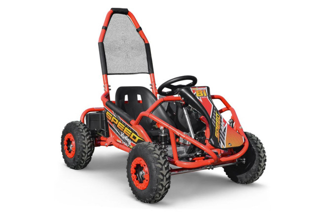 Buggy Go Kid's dirty 1000W 48v