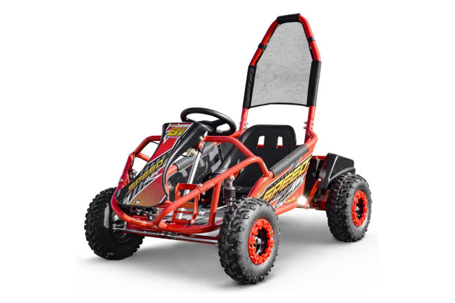 Buggy Go Kid's dirty 1000W 48v