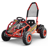 Buggy Go Kid's dirty 1000W 48v