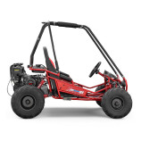 Buggy 212cc enfant 2 places