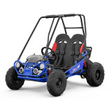 copie de Buggy 212cc enfant 2 places