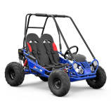 copie de Buggy 212cc enfant 2 places